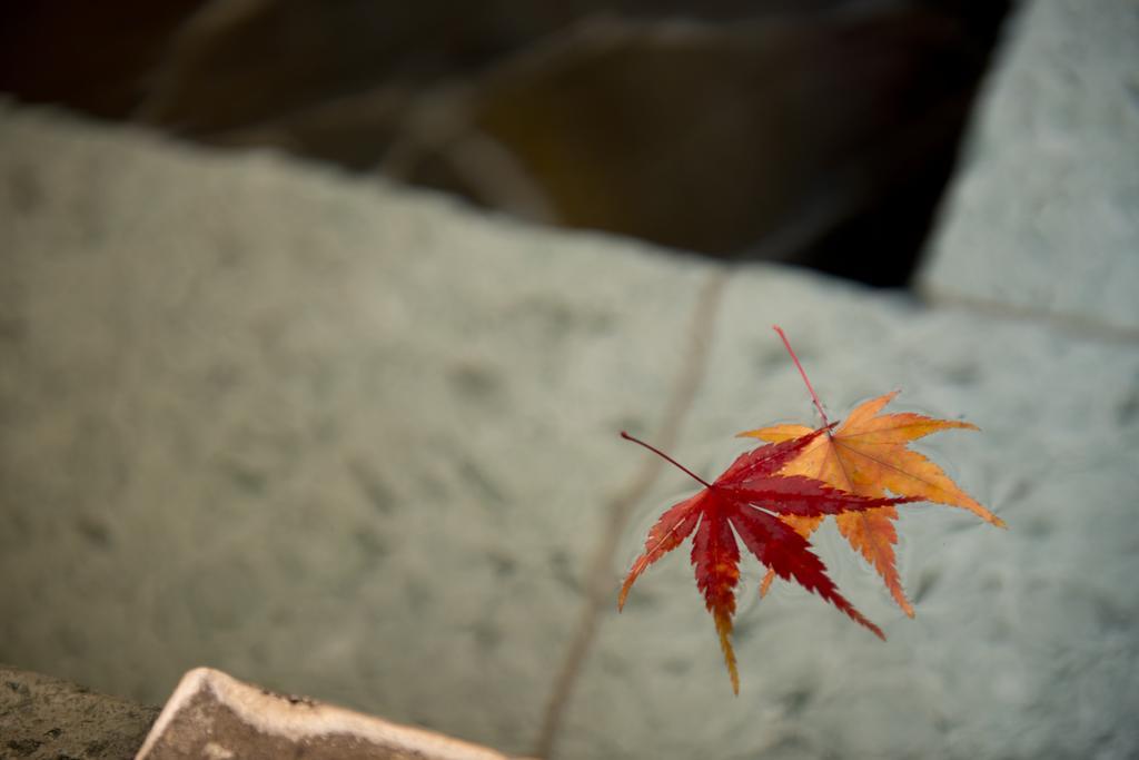 Onsen Ryokan Yamaki Hotel Nasushiobara Luaran gambar